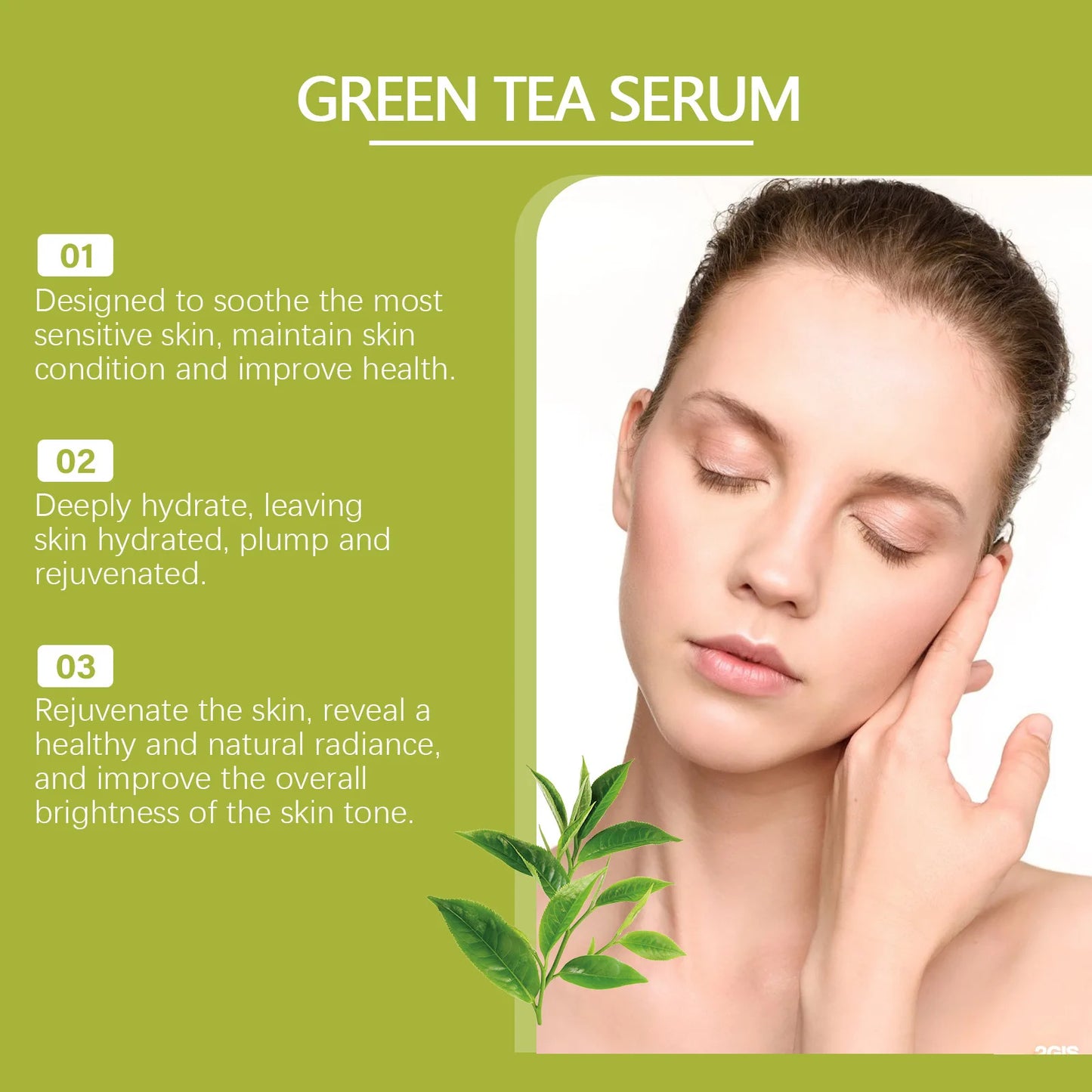 EELHOE Green Tea Pore Refining Serum — Green Tea & Niacinamide — Green tea ingredient botanical illustration