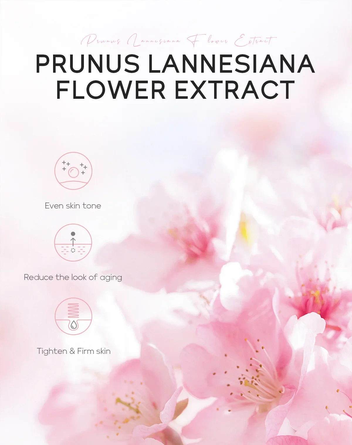 Hydrating brightening sheet mask with sakura extract and pink floral design