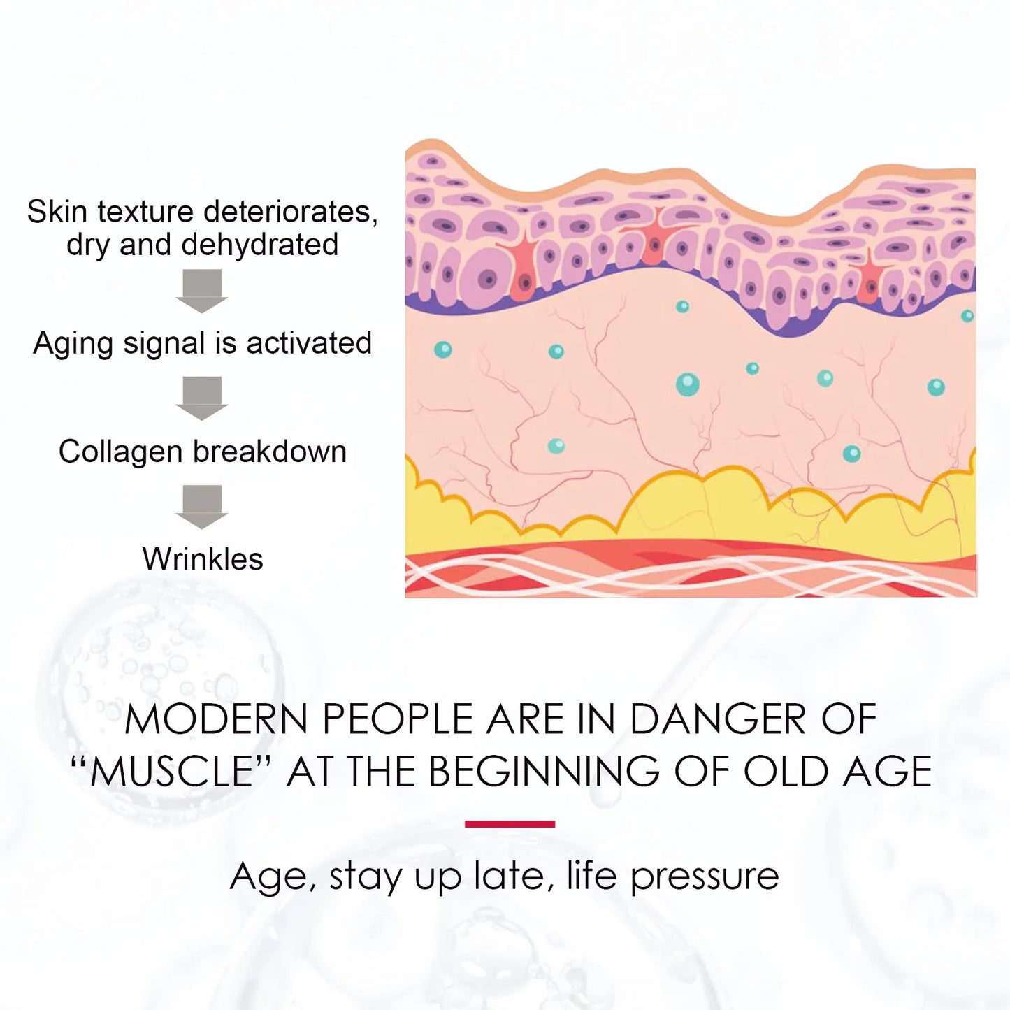 EELHOE — Rosehip Oil Serum — Oil dropper and texture detail