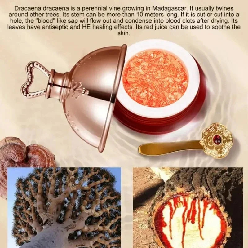 Jar of brightening and lifting face cream with dragon's blood extract