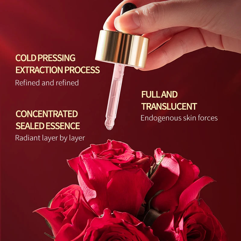 MERCILEN Double Rose Facial Essence Oil — Double Rose & Squalane — Double rose key ingredient botanical illustration