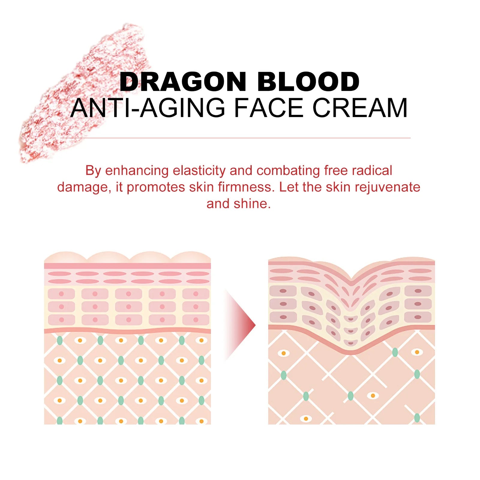 EELHOE Dragon Blood Facial Cream — Dragon Blood Resin — Product packaging box front view